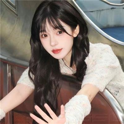 狮子彻夜未眠